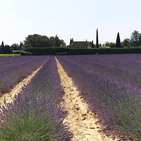Holiday home Maison En Drome Provencale *